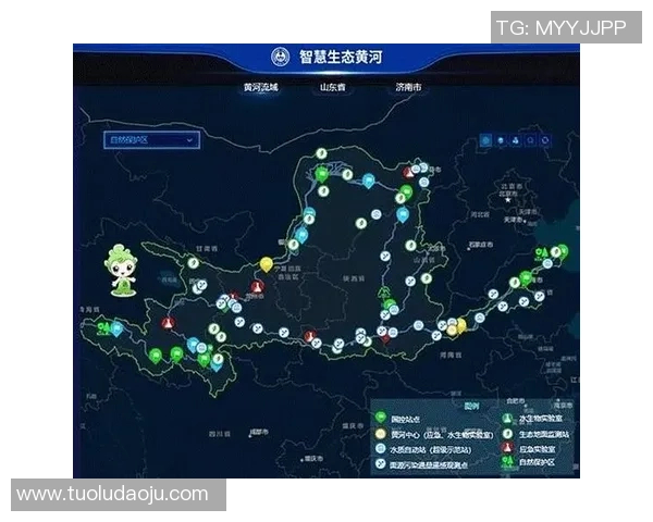 中国足球明星汇聚地揭秘哪个省份人才最多