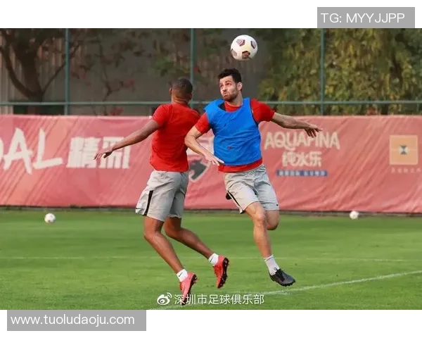 深圳篮球队默契配合的深度分析与战术探讨