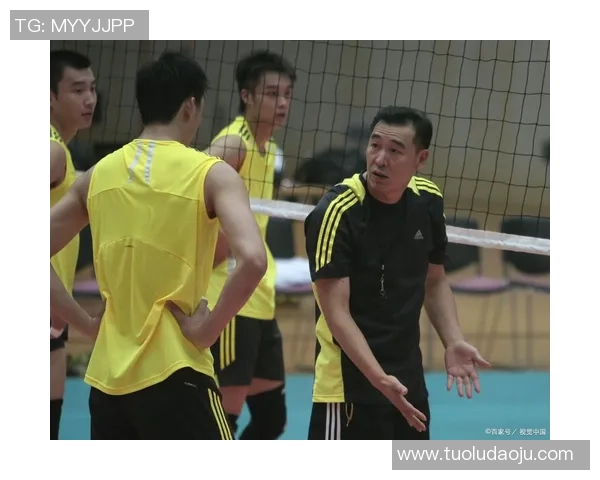 深圳排球队防反战术革新探秘助力球队崛起与发展